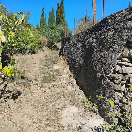 Hébergement de vacances Maison Palmeral *