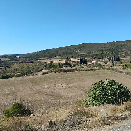 Hébergement de vacances Maison Palmeral Coustaussa