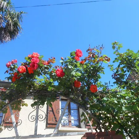 Hébergement de vacances Maison Palmeral Coustaussa