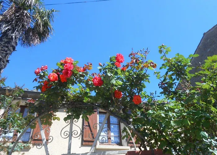 Dom wakacyjny Maison Palmeral Coustaussa